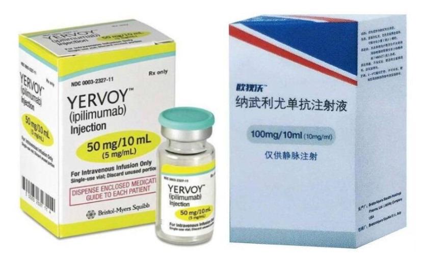 了o药(纳武利尤单抗)联合y药(伊匹木单抗)一线治疗pd-l1阳性(≥1%)