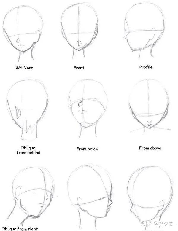 ② 动漫人物其他各种角度的脸型比例画法图