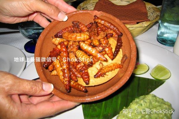 那样的酒,墨西哥人会把这虫子放入梅斯卡尔酒瓶里来证明酒是正宗的