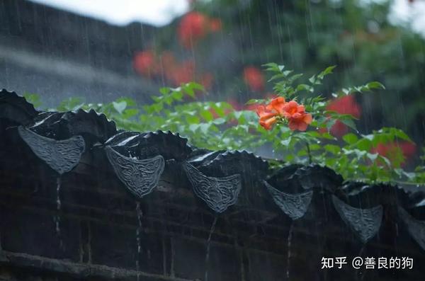 绵绵雨中意美美雨中景