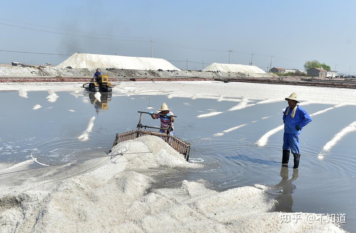 盐场分别是渤海湾的长芦盐场,海南岛的莺歌海盐场,台湾岛的布袋盐场