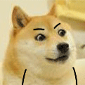 睁大《狗眼》,看看维权者联盟那些事儿