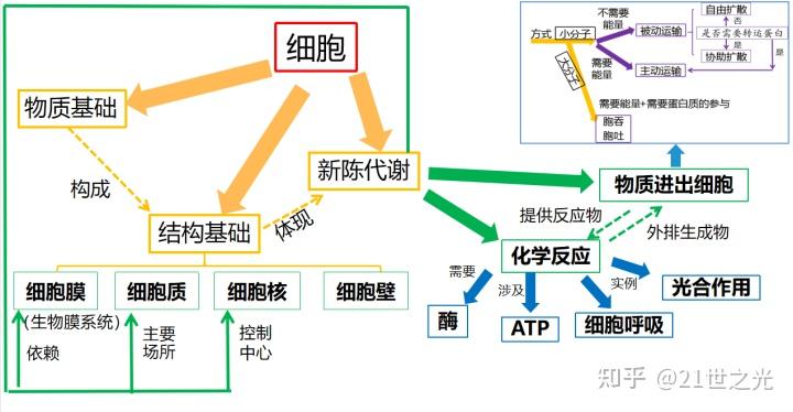 根据有氧呼吸的过程,场所,能回忆起无氧呼吸的过程和场所,细胞呼吸的