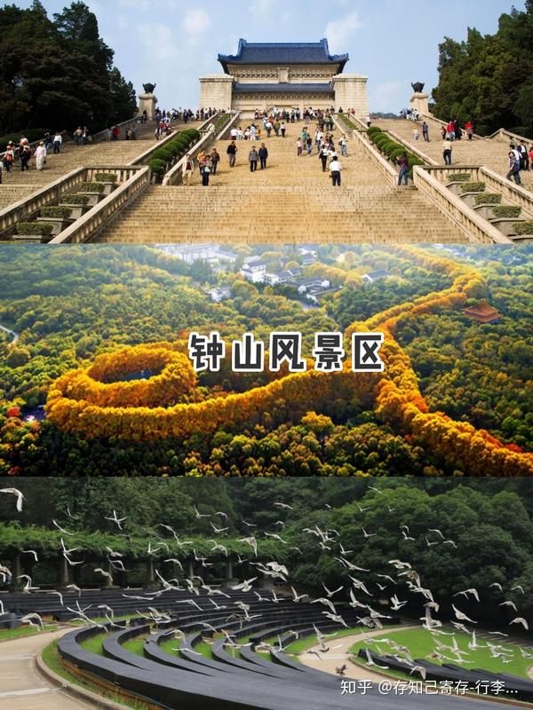 中高风险地区想要过来要有核酸检测 南京景点之间都比较近,住宿