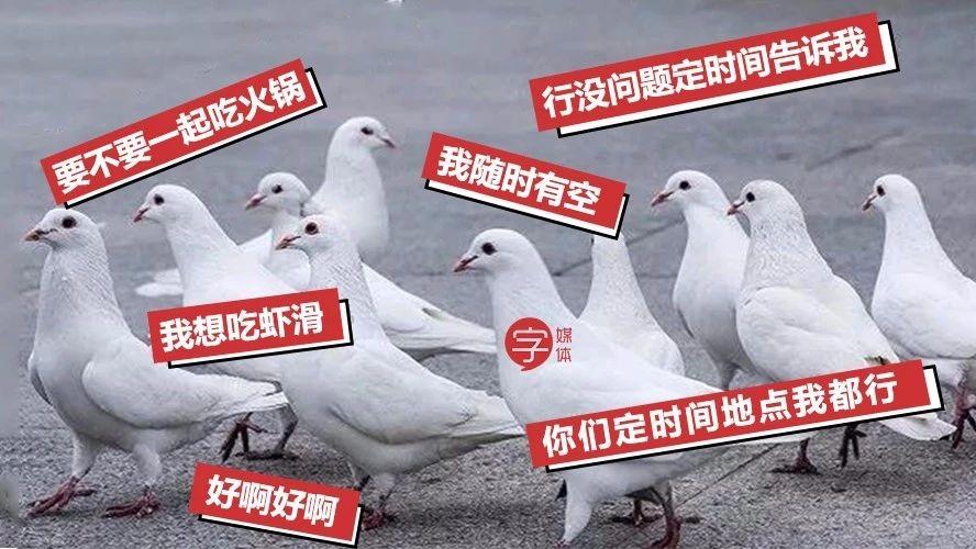 超魔性放鸽子专用表情包专治聚会爱迟到的朋友
