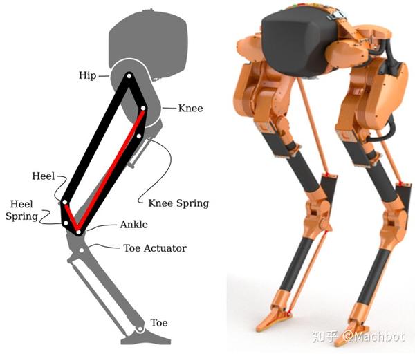 腿足式机器人cassie