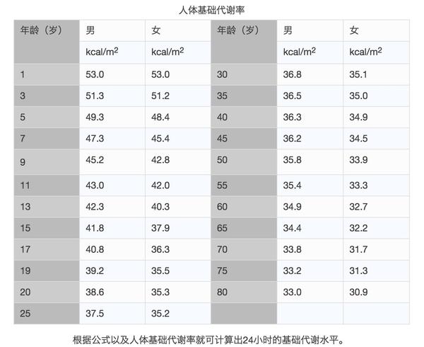 说一说基础代谢