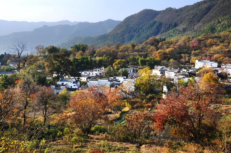 柒宣城绩溪含中山的低山丘陵山区,徽岭山脉绵亘中部,分县境为岭南,岭