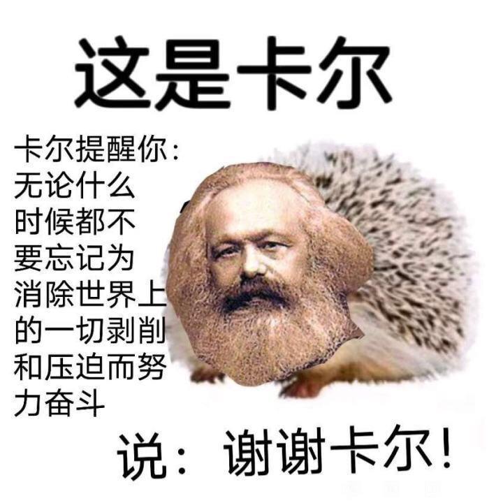 托卡马克之冠