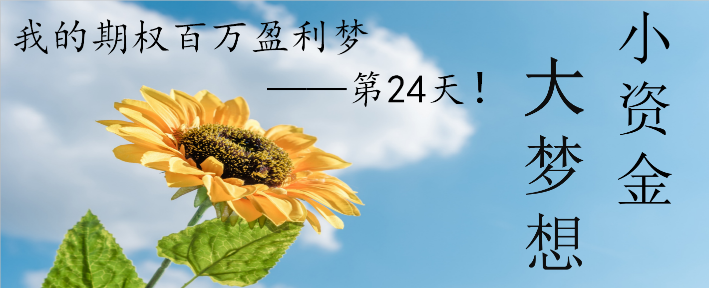 酸辣粉创业故事视频_网店创业故事视频_创业故事视频