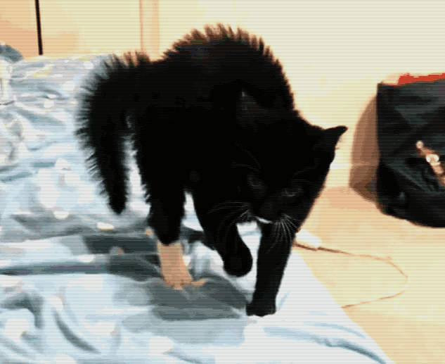 5,接受喵喵拳的挨打