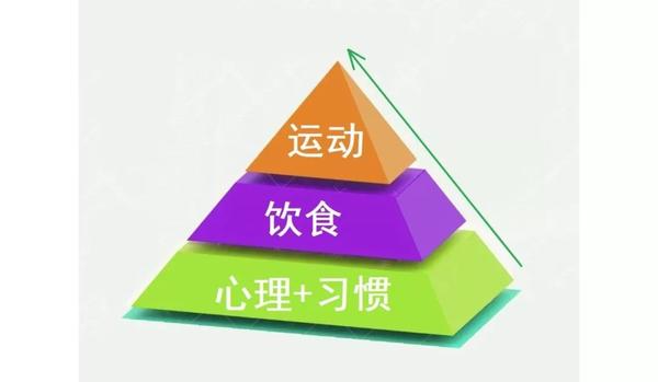 减肥就像一座金字塔,底层是人的心理活动和行为习惯,中间层是饮食,最