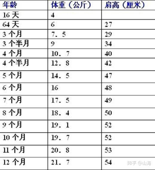 这是一张边牧年龄体重对照表,可以看到两个月的边牧平均体重在12斤