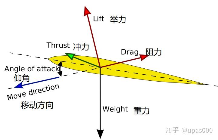 鸟的持续飞行原理是什么啊