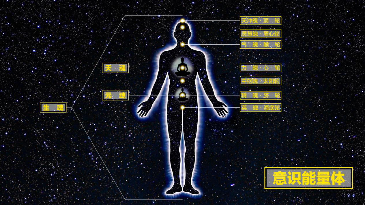 魂魄与人体生命科学论葛洪学术成就对当代的重要影响