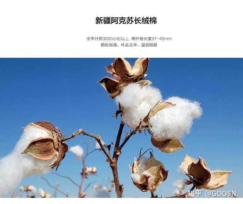 谎言hm被揭穿的背后让世界看到了新疆棉花看到了中国的蓬勃的发展