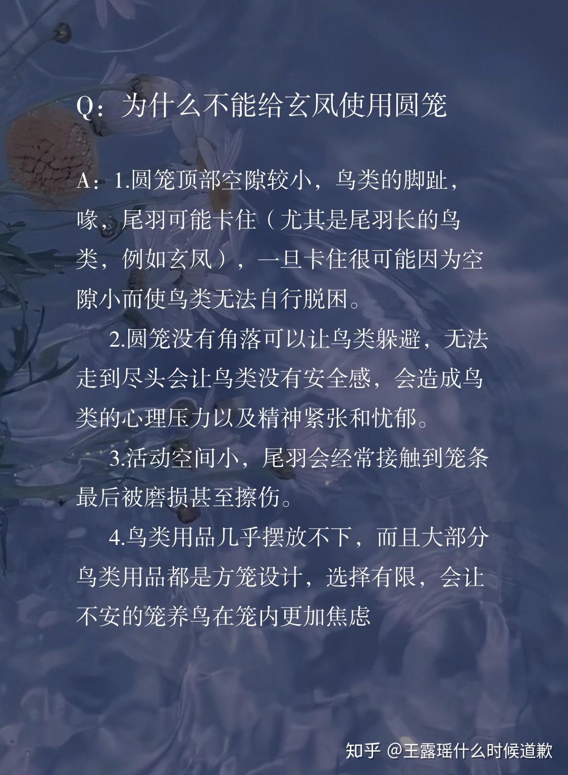 为什么说王泡芙虐鸟