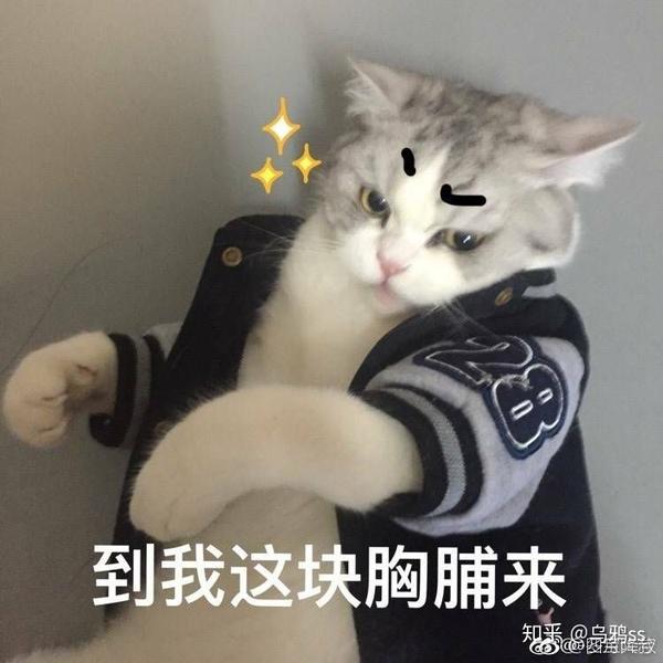 有哪些可以哄女朋友的表情包?