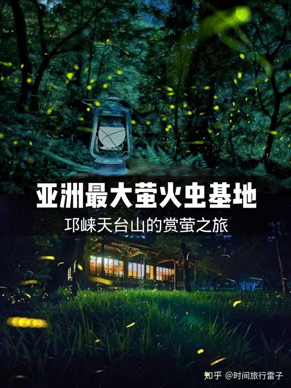 亚洲最大萤火虫基地邛崃天台山的赏萤之旅