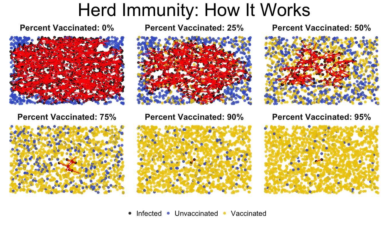 群体免疫(英语:herd immunity或community immunity)是指人或动物