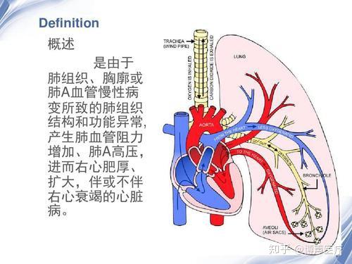 博声医疗肺源性心脏病慢性肺源性心脏病