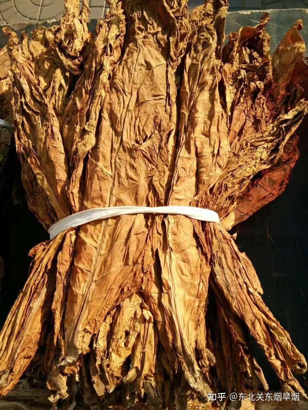 东北关东烟烟丝烟叶烟沫