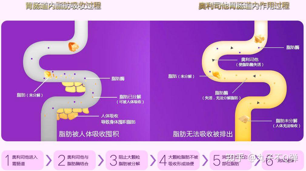 对最近热门排油减肥药森迪奥利司他的心得体会