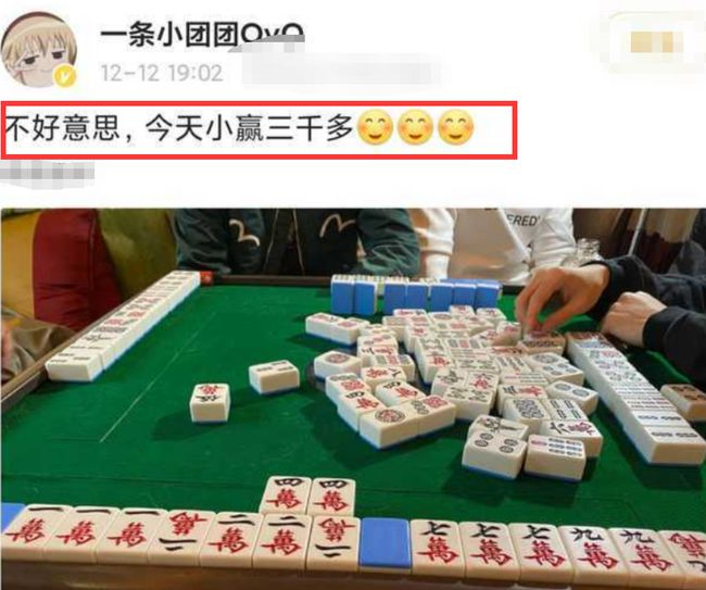 小团团将被拘留半个月聚众赌博事件升级公安部门已介入调查