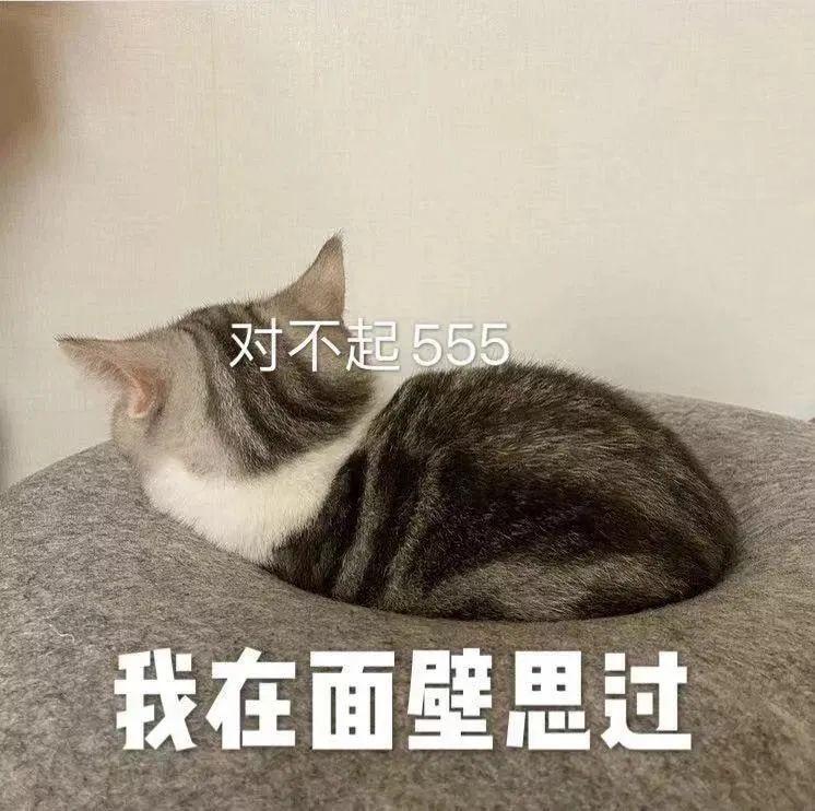 怎么可爱地跟男朋友道歉