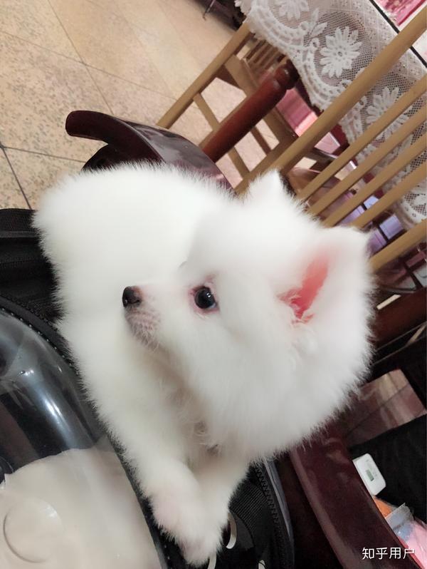 这是回家之后,很乖