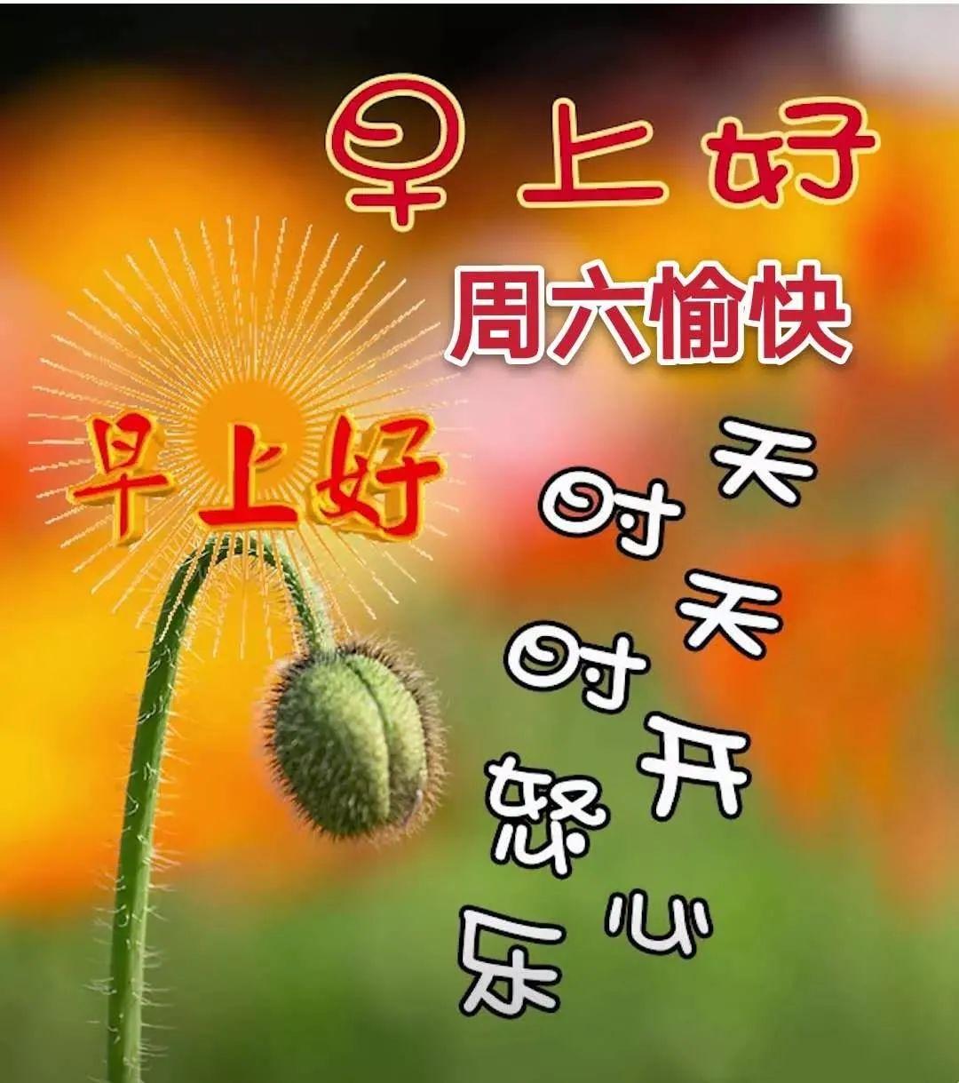 2021最新版早安愉快动画表情包,新的一天快乐问候祝福