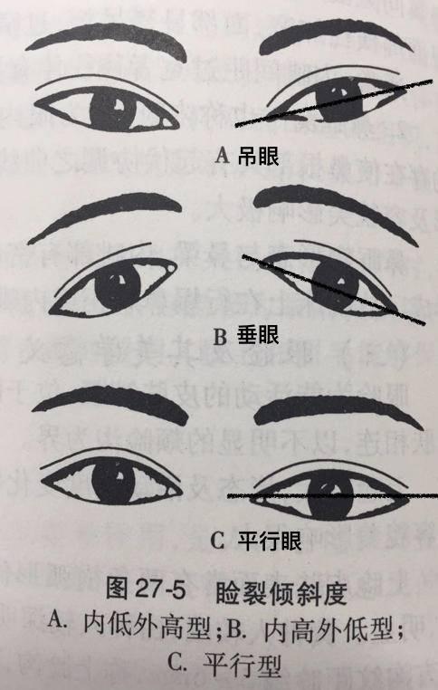 内外眼角连线的倾斜度 我们古代女子的眼眸都以「丹凤眼」为美,说这种