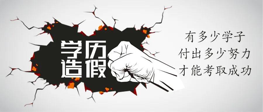 打假那些为了学历碰红线的人后来都怎么样了