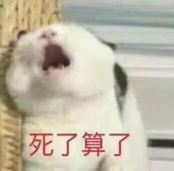 用一个表情包形容我的感受