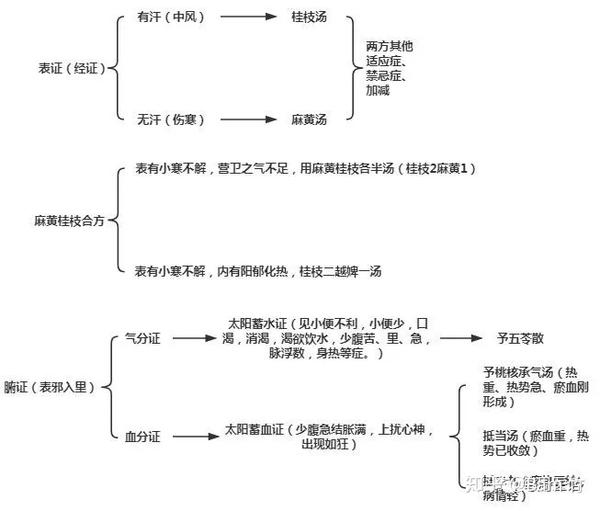 一,太阳病证候分类和治法 1,本证:疾病病位在太阳经和腑.