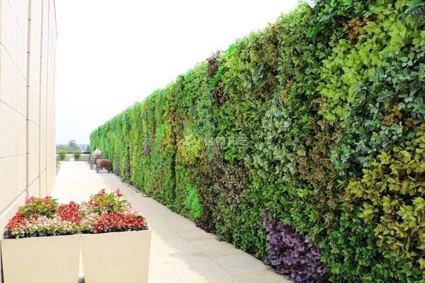 简阳空港新城室外围挡仿真植物墙