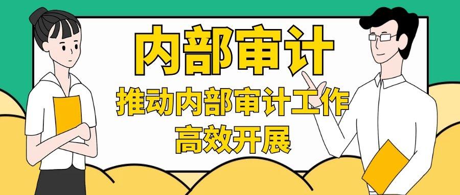 成都公司企业内部审计外包给注册会计师的审计