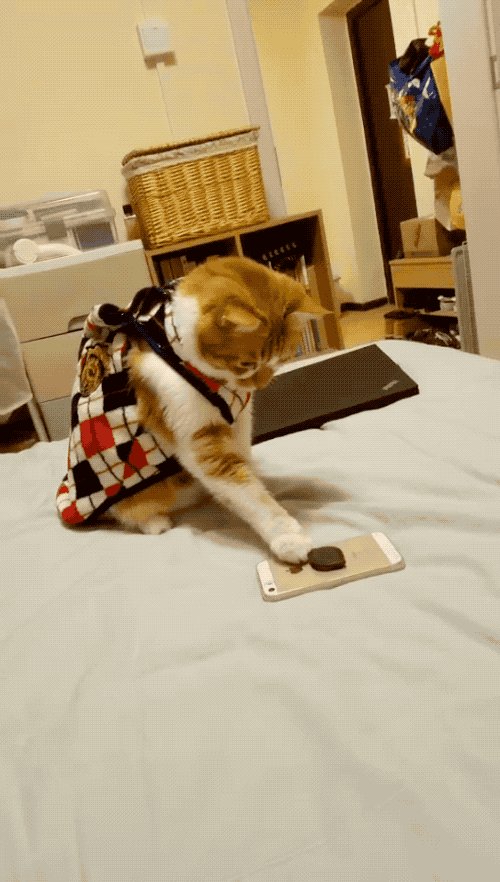 500_882 竖版 竖屏