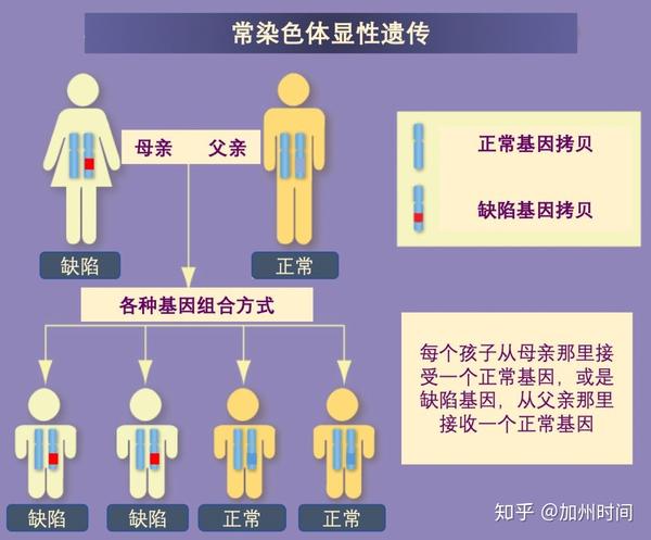 试管婴儿染色体异常反复流产解读 朱莉也中招