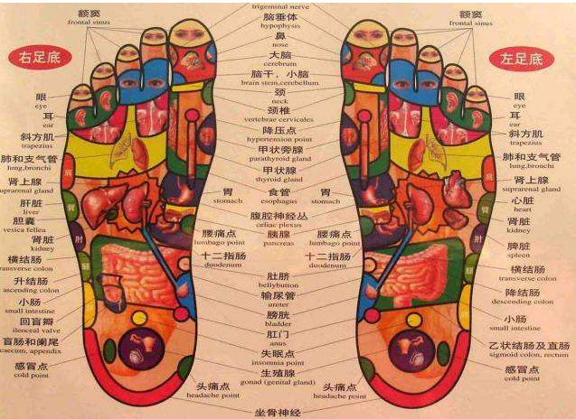 站着不动也有这么多好处?