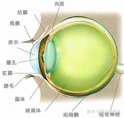 首大王赞春:你了解慢性青光眼吗?