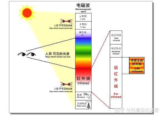 托普森光波房为您解答远红外线知识