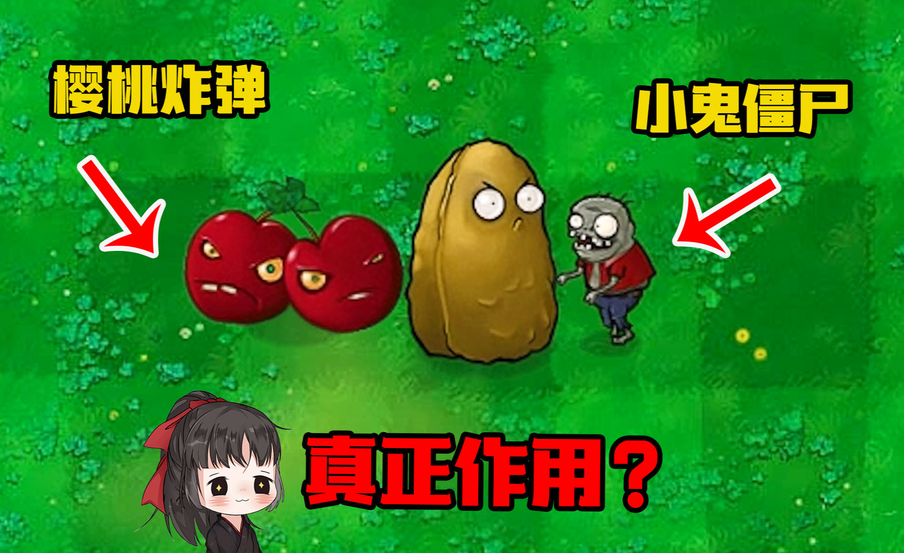 新植物:玉米高坚果(植物大战僵尸魔改版)