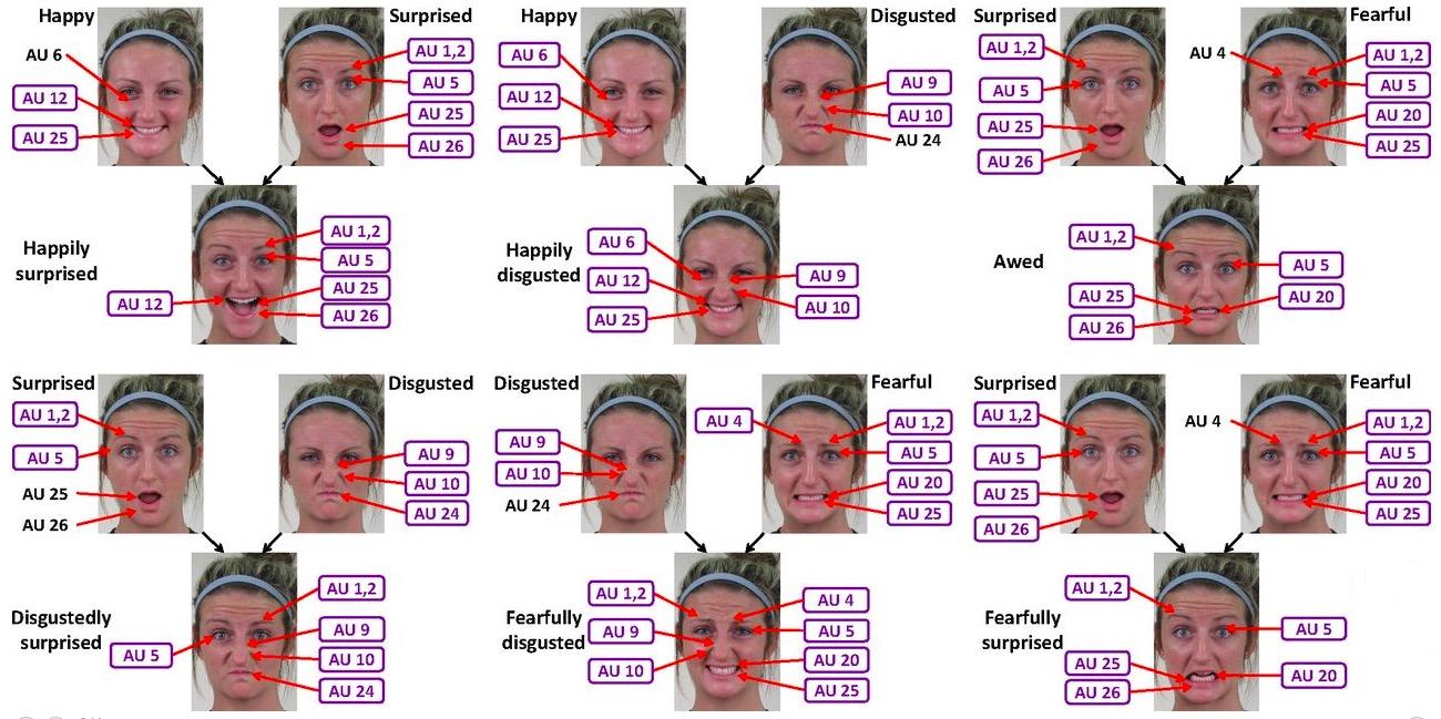 这篇名为compound facial expressions of emotion的论文来自俄亥俄州