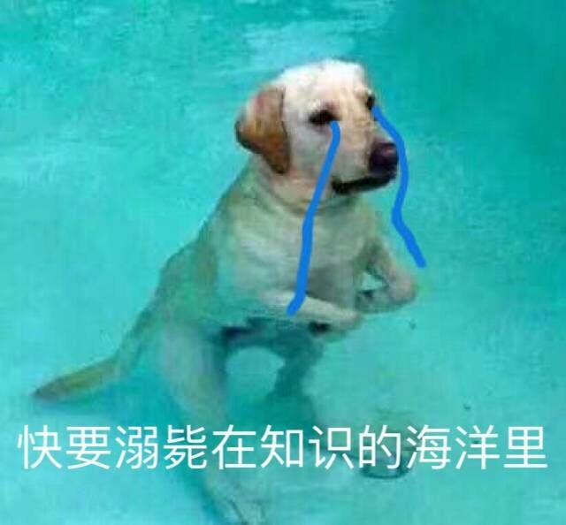 有哪些关于学习的表情包