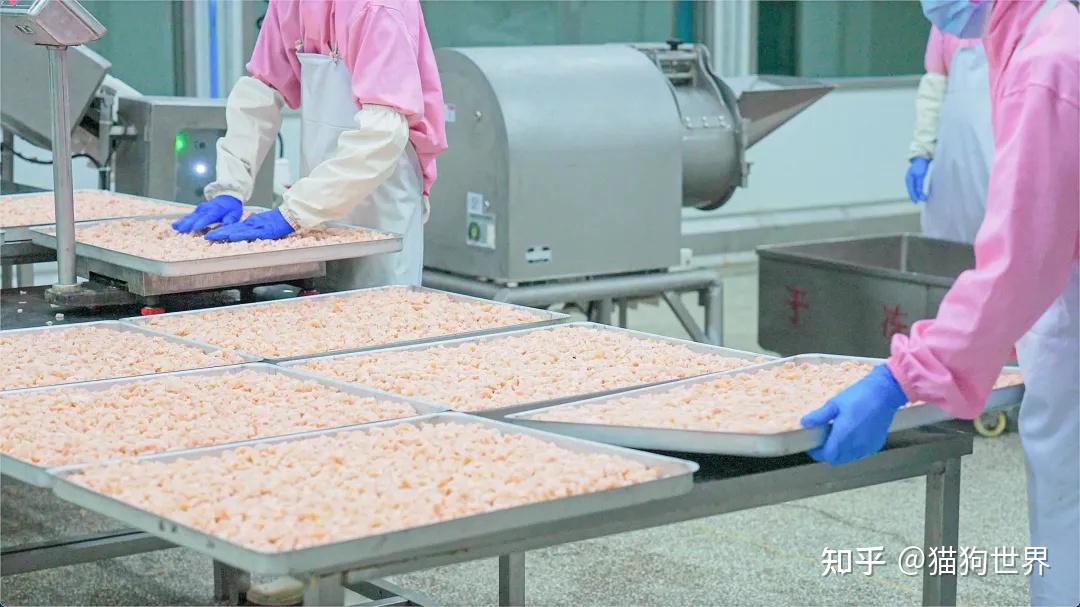 山东知名宠物食品加工代工厂家