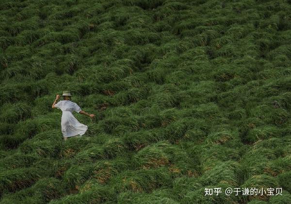 《偷偷藏不住》竹已