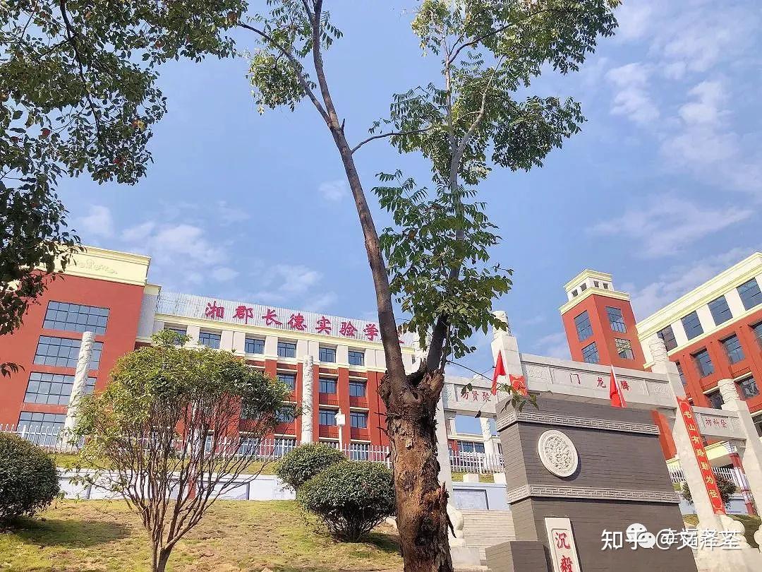(18)长沙康礼克雷格高级中学(531分:位于长沙经济技术开发区力新街