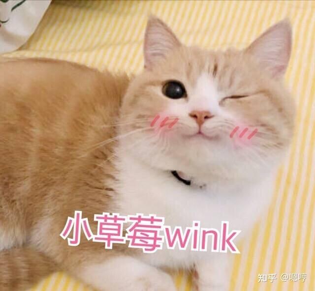 wink是啥意思