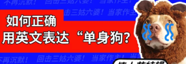 单身狗的英文真的是singledog吗黄老师教你正确表达方式